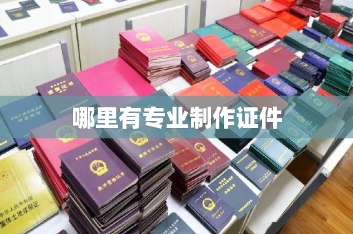 后龙哪里有专业制作证件