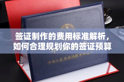 后龙签证制作的费用标准解析，如何合理规划你的签证预算