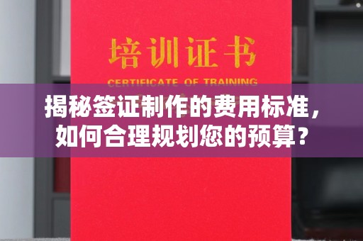 后龙揭秘签证制作的费用标准，如何合理规划您的预算？