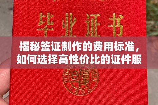 后龙揭秘签证制作的费用标准，如何选择高性价比的证件服务