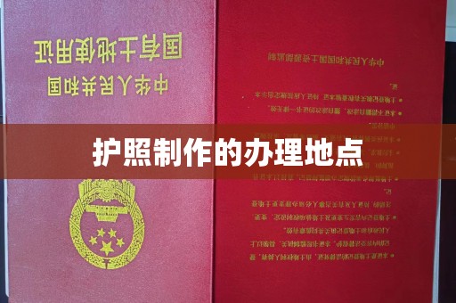 后龙护照制作的办理地点