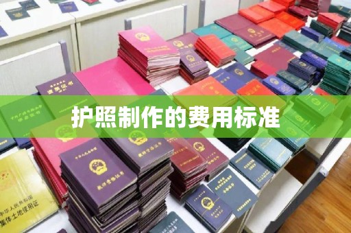 后龙护照制作的费用标准