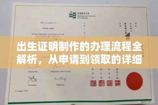 后龙出生证明制作的办理流程全解析，从申请到领取的详细指南
