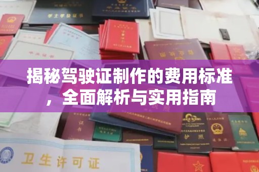 后龙揭秘驾驶证制作的费用标准，全面解析与实用指南
