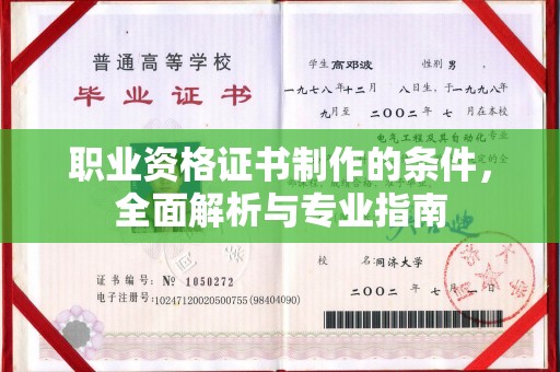 后龙职业资格证书制作的条件，全面解析与专业指南