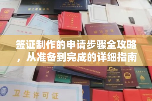 后龙签证制作的申请步骤全攻略，从准备到完成的详细指南